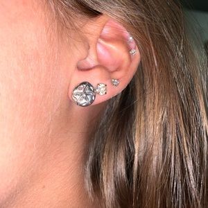 Sand Dollar Earrings